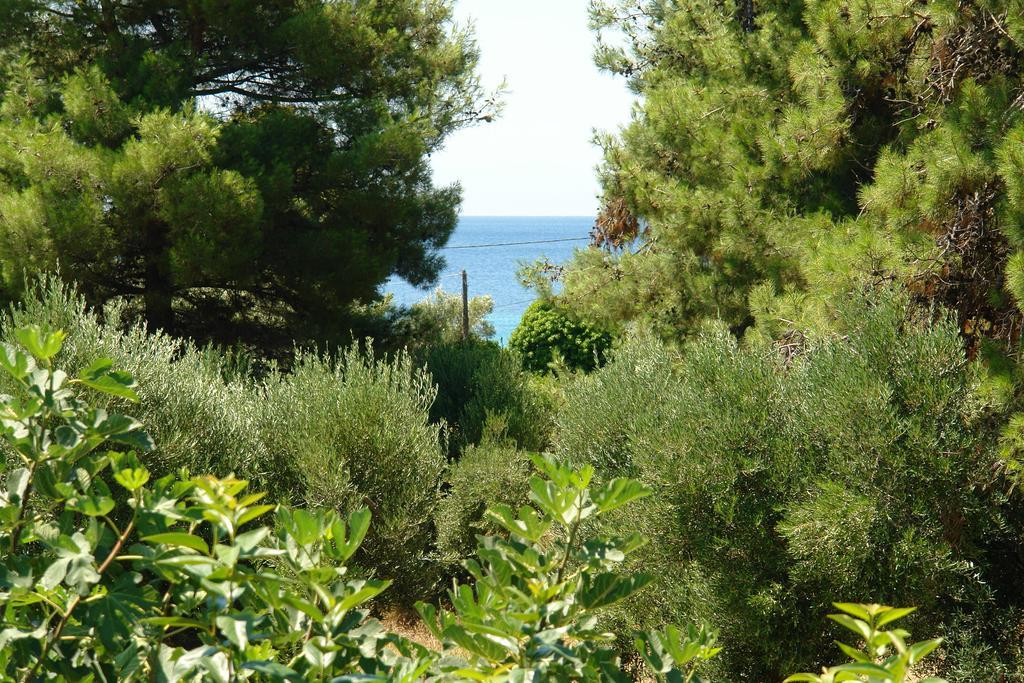 Antheia'S House Villa Nea Skioni Luaran gambar
